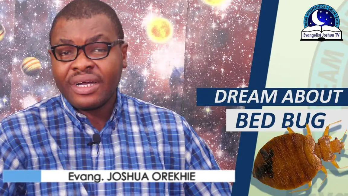 The Spiritual Significance Of Bed Bugs In Dreams Unveiling The