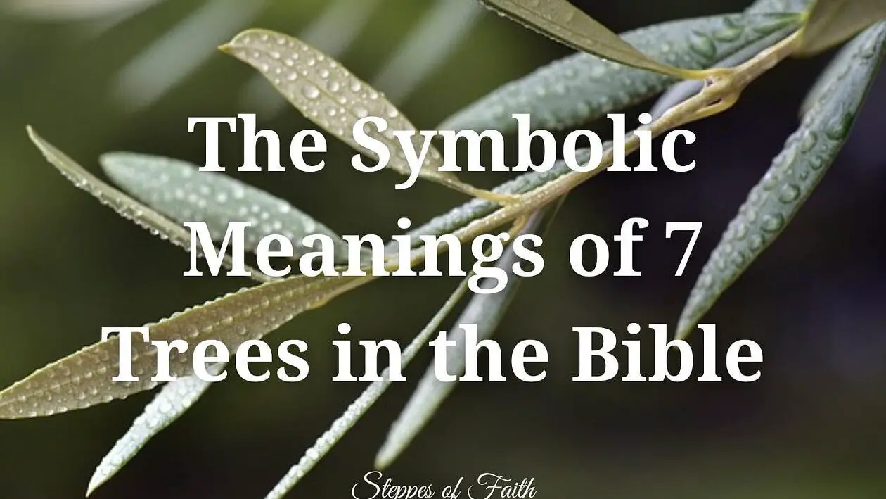 The Sacred Significance of Trees in the Bible - John Baptist Church