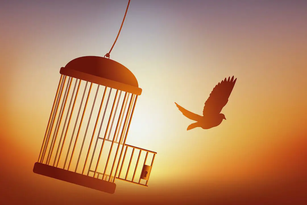 The Biblical Significance of the Cage Unlocking Spiritual Lessons