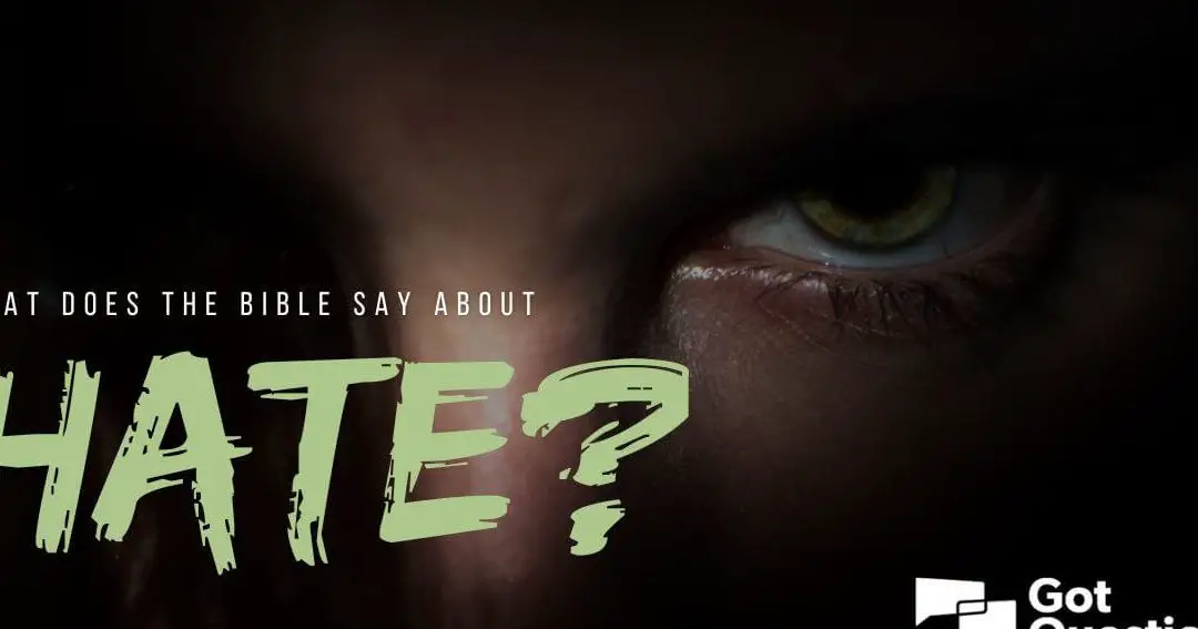 HATE WHAT IS THE MEANING visual data 4