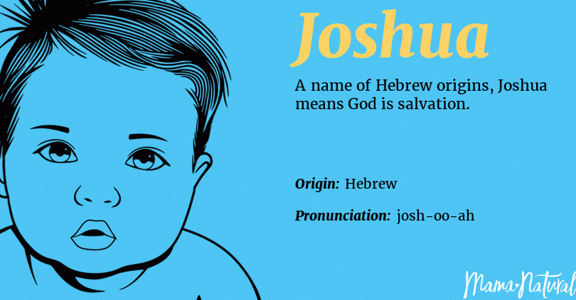 The Divine Significance of Joshua: Unveiling the Biblical Meaning ...