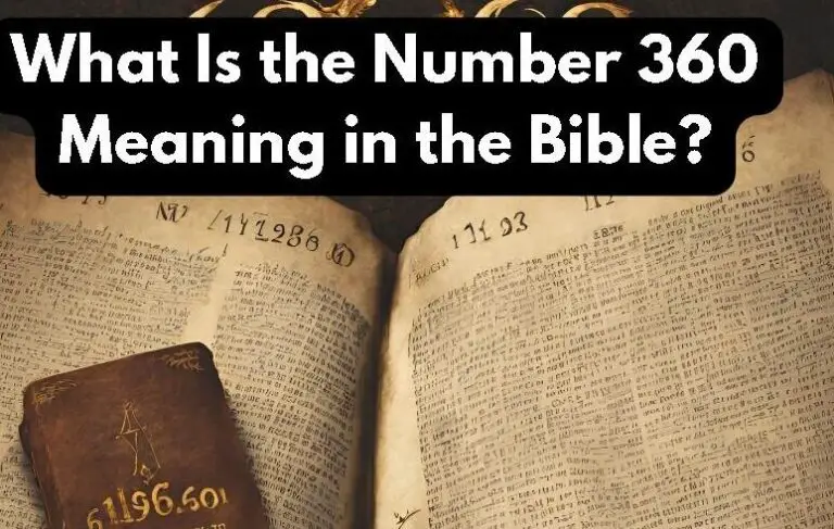 The Biblical Significance of the Number Two - John Baptist Church