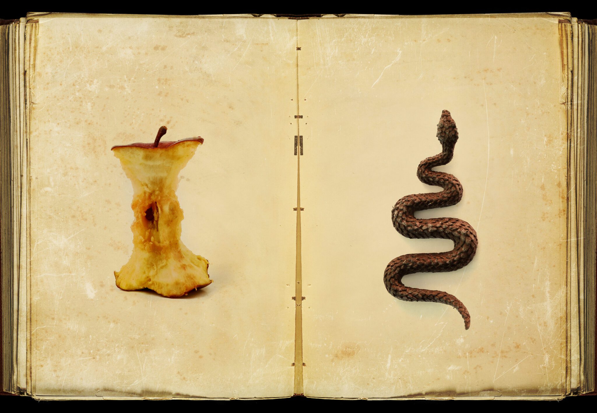 The Symbolic Significance Of The Snake In Biblical Context John the-symbolic-significance-of-the-snake-in-biblical-context-john
