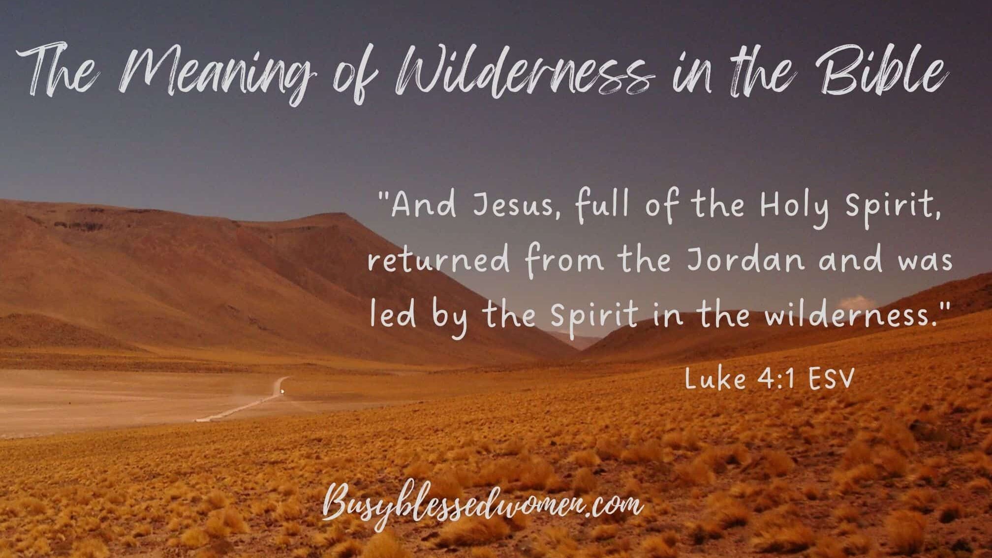 Unlocking the Biblical Significance of the Wilderness - John Baptist Church