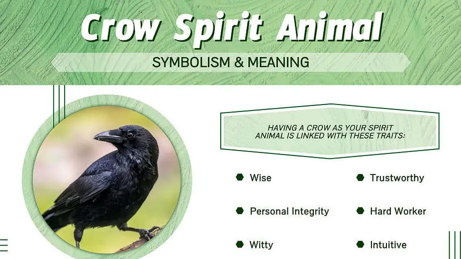 The Biblical Significance Of Crows Unlocking Their Spiritual Meaning 