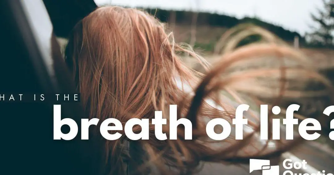 The Spiritual Significance of Breath in the Bible - John Baptist Church