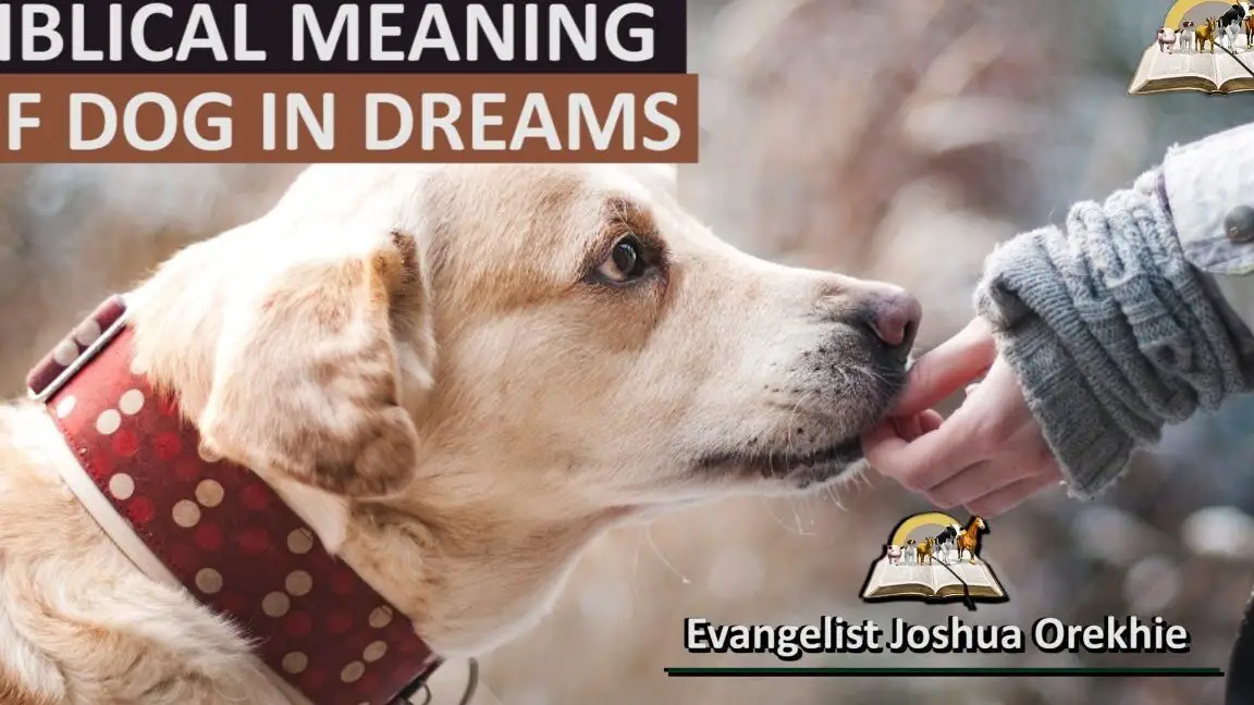 The Spiritual Significance of Dogs in the Bible Unveiling the Biblical