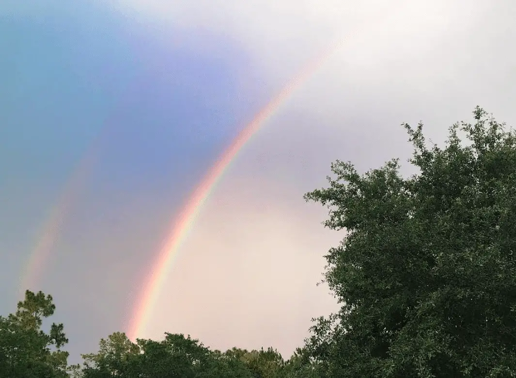 The Symbolic Significance of the Double Rainbow in the Bible John