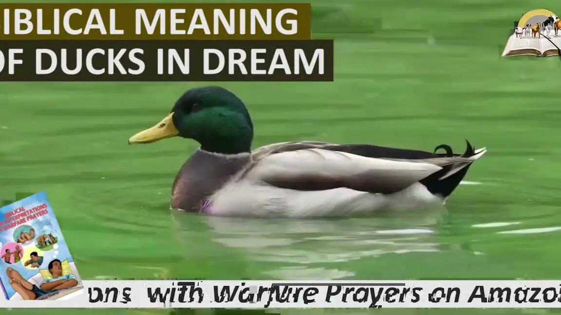 The Spiritual Significance of Ducks in Dreams: Unveiling the Biblical ...