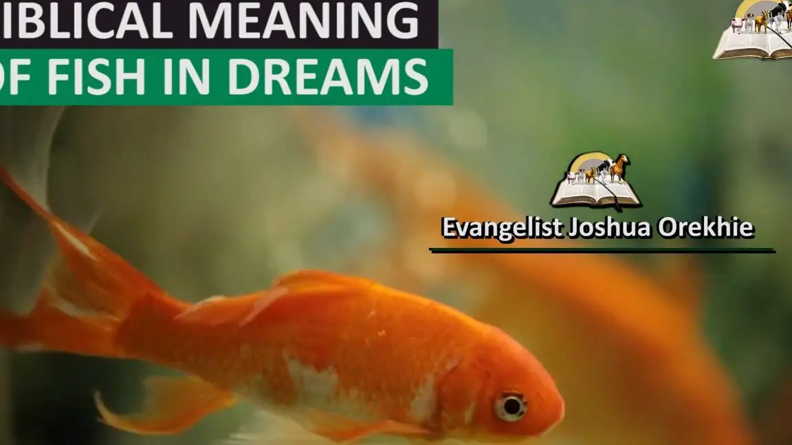 The Spiritual Significance of Dreaming of Fish in the Bible - John