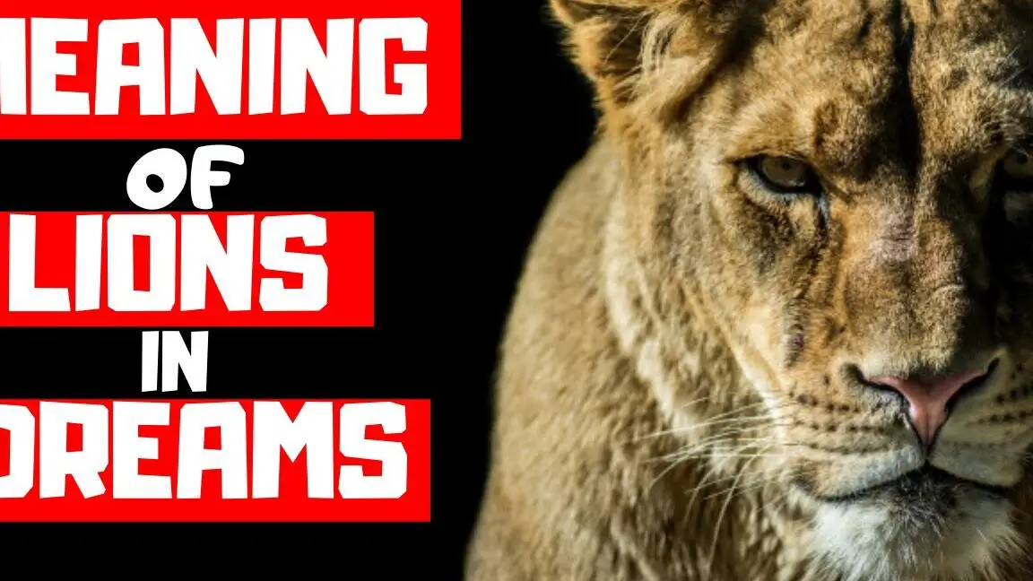 The Spiritual Significance of Lions in Dreams Unveiling the Biblical