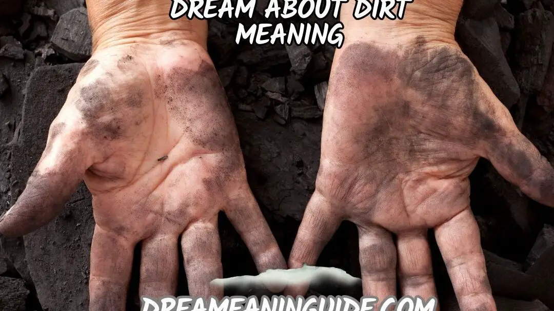 DIRT DEFINITION AND MEANING visual data 3