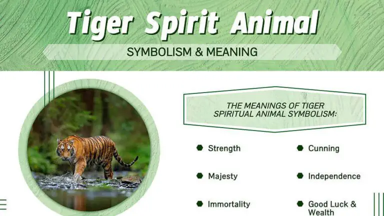 The Biblical Significance of Tigers: Unveiling Spiritual Symbolism ...