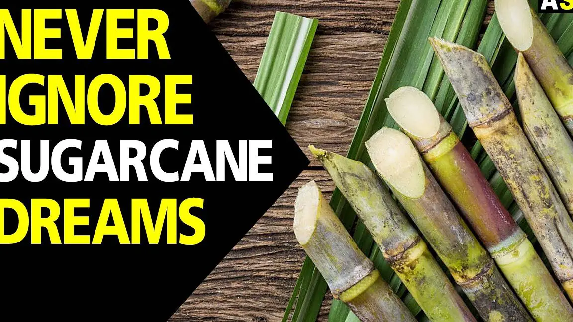 The Symbolism of Eating Sugar Cane in a Dream: Unveiling its Biblical ...