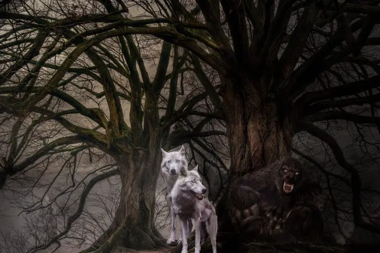 The Biblical Significance of Werewolf Encounters in Dreams John